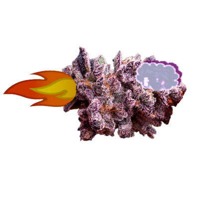 Cannabis music SEeBEeDEe EDM rythmic minimalistic sativity nugship image