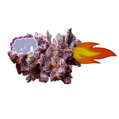 SEeBEeDEe Sativity nugship YouTube animation